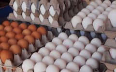 نرخ واقعی هر کیلو تخم‌مرغ بالای ۱۵هزار تومان است