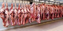 قیمت گوشت گوسفندی ۲۰ درصد بالا رفت