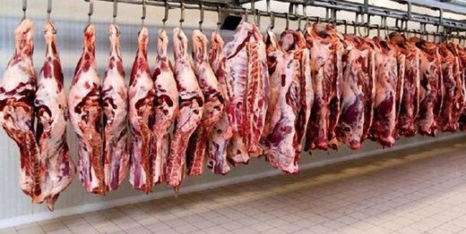 احتمال کاهش قیمت گوشت در آینده
