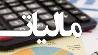 محاسبان خبره