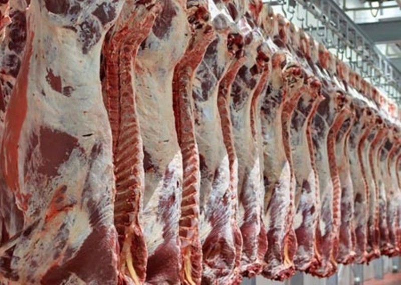 کاهش نرخ هر کیلو شقه گوسفندی در بازار/ قیمت گوشت در ماه رمضان نوسانی نخواهد داشت