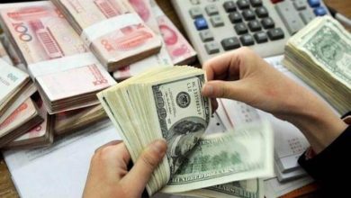 چه کسانی ارز دولتی گرفتند