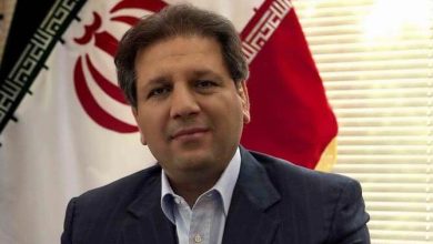 فعالیت های علی انصاری