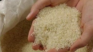 برنج ایرانی