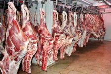 قیمت گوشت در بازار بالا رفت/ خریداران گوشت قرمز کم شدند