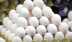 افت چشمگیر قیمت تخم مرغ در بازار/ قیمت کنونی نصف قیمت تمام شده است