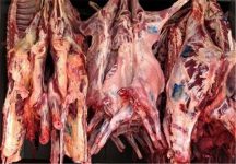 افزایش دوباره قیمت گوشت گوسفندی