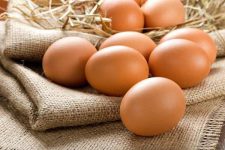 صادرات تخم‌مرغ ممنوع شد