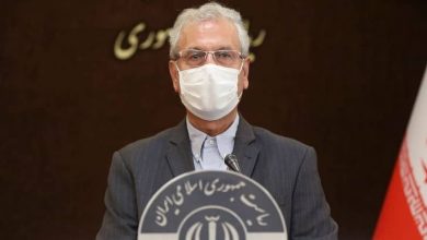 علی ربیعی سخنگوی دولت