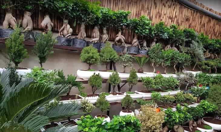 بازار گل