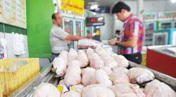 قیمت مرغ دربازار ۲۰ هزارتومان گرانتر از قیمت مصوب !