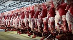 قیمت گوشت گوسفندی در بازار | بهمن ۱۴۰۲