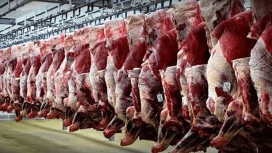 قیمت گوشت