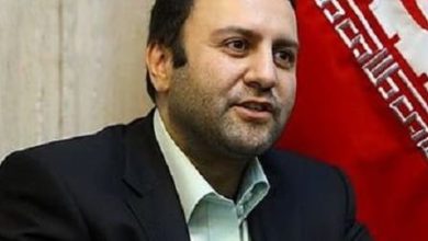 محسن پیرهادی