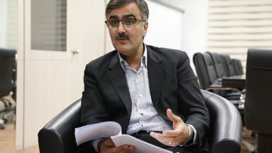 محمد رضا فرزین کیست