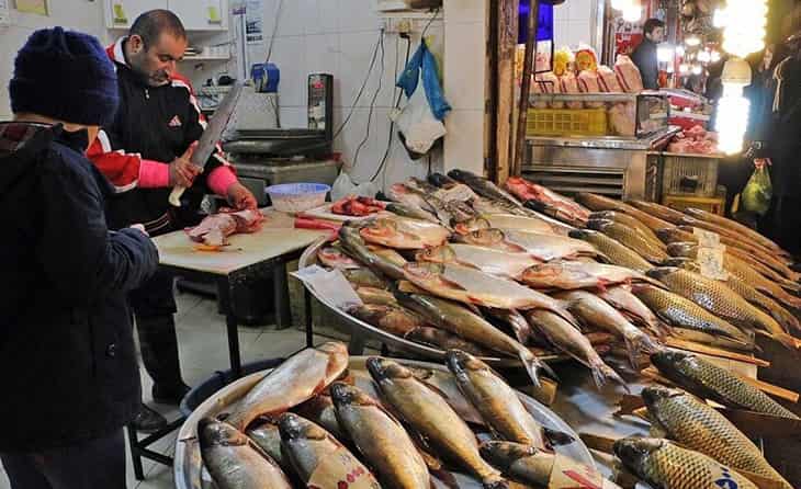 قیمت ماهی