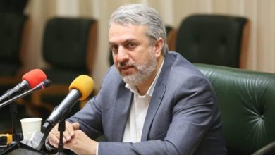 سیدرضا فاطمی امین