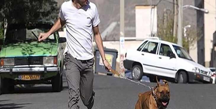 سگ گردانی