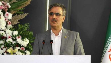 محمدرضا فرزین