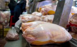 غذرخواهی از مردم بخاطر افزایش قیمت مرغ