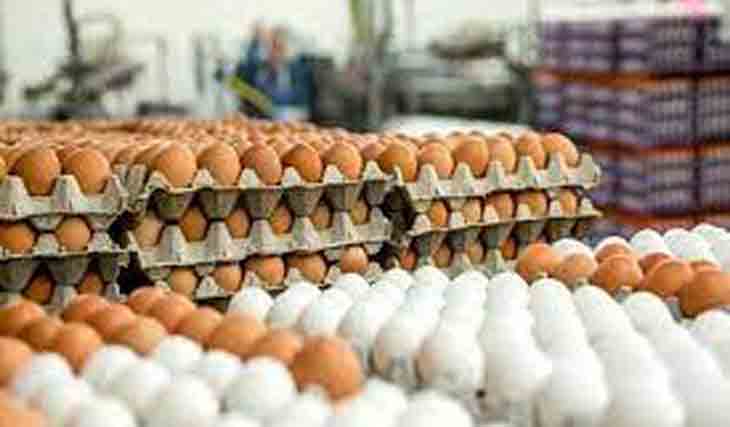عرضه تخم‌ مرغ پایین‌تر از نرخ مصوب در بازار